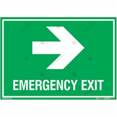 Emergency Exit Signs with Right Arrow in Landscape