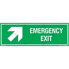 Emergency Exit Sign in Rectangle