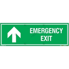 Emergency Exit Sign in Rectangle
