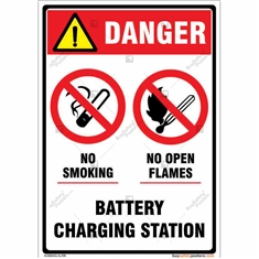 Danger Signs in Combination in Portrait