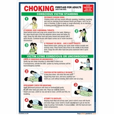 Choking First Aid Chart