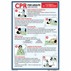 Car For Adults First Aid Chart
