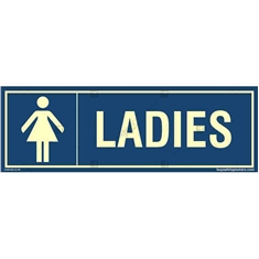 Ladies Room Glowing Signboard in Rectangle